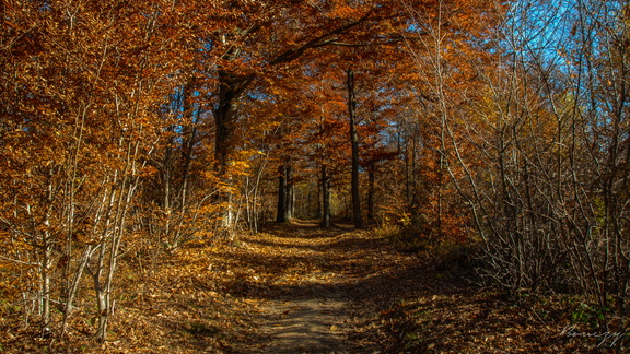 E-DSC_0067.jpg